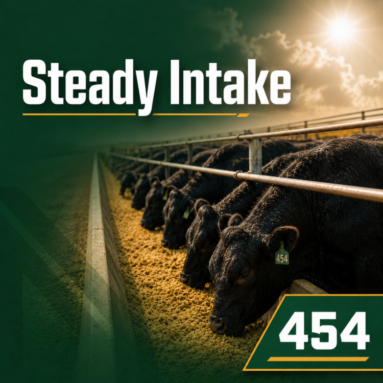 cattle heat stress feed additive